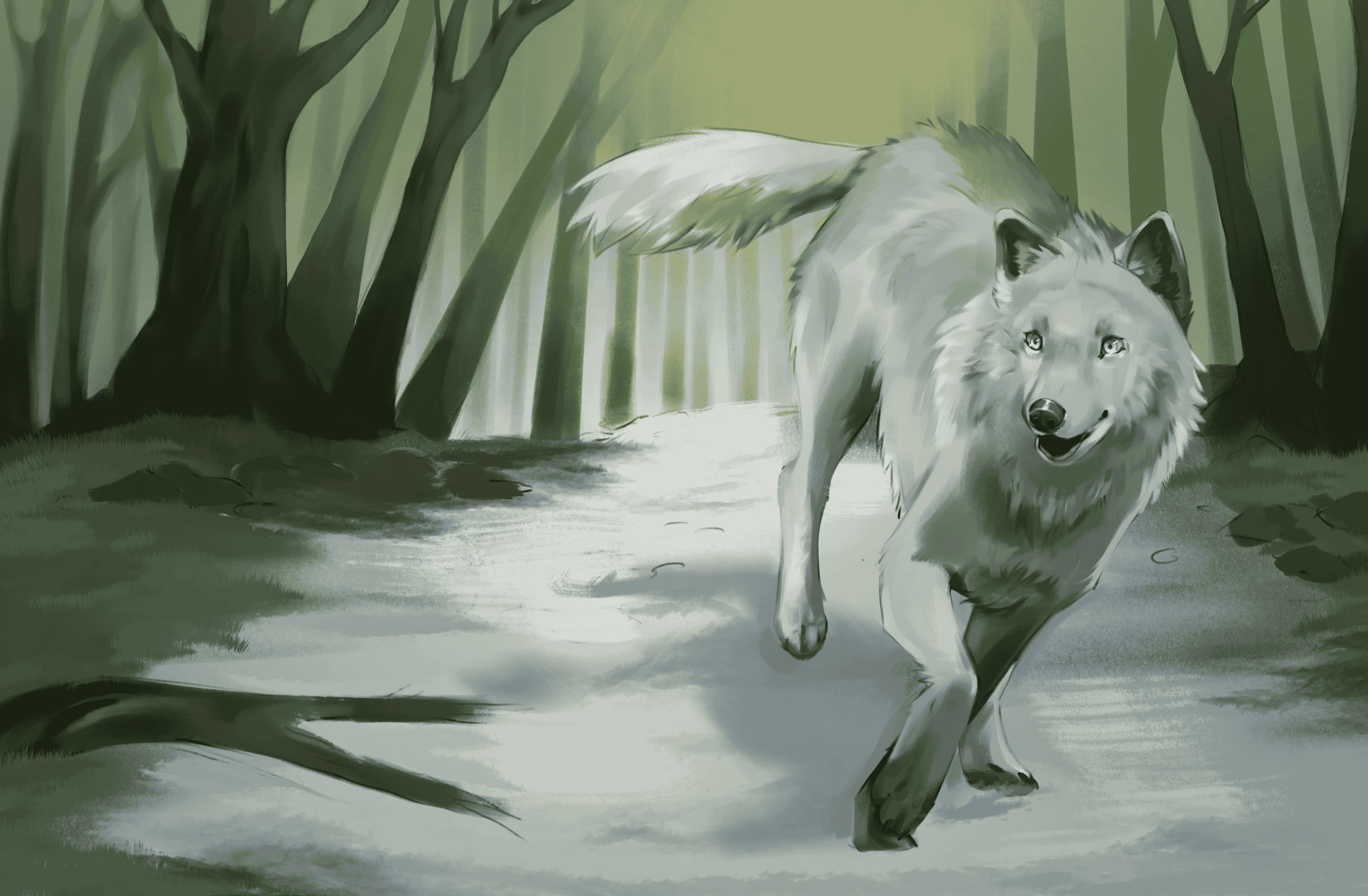 Forest