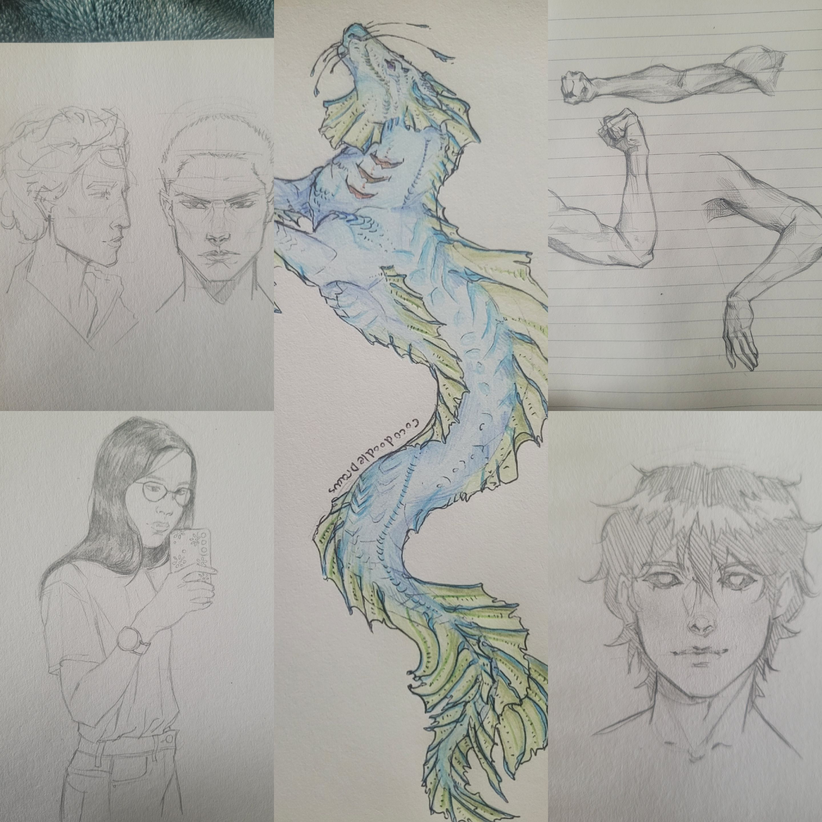 Sketchbook
